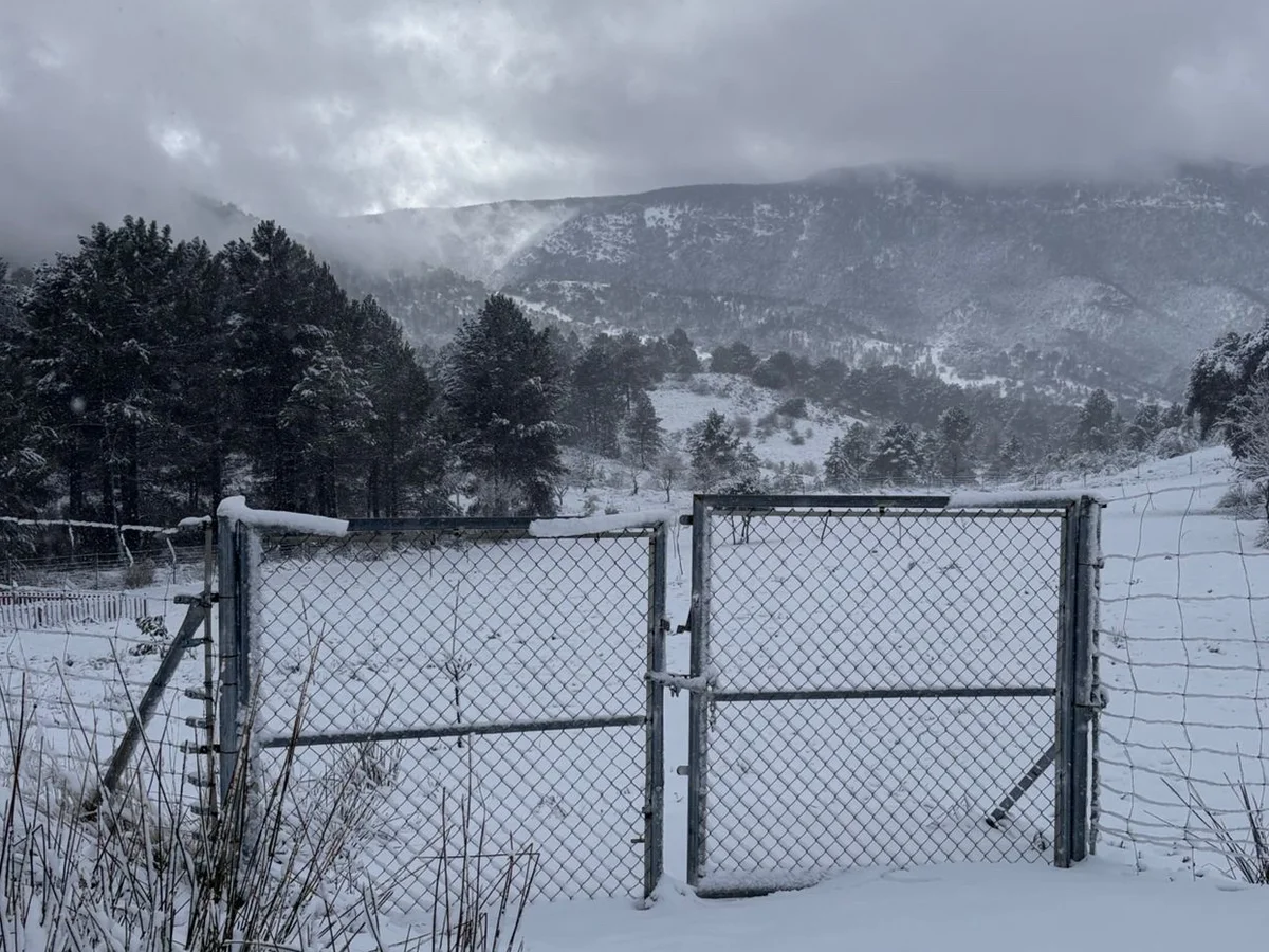 borrasca-deja-nevadas-riopar-albacete_103