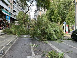 1a553731-bb99-49eb-8531-4f3cfb6f051c_alta-libre-aspect-ratio_default_0_x800y400