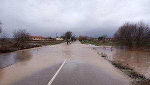 20260205170243_caratula